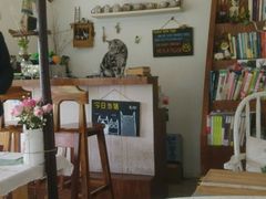 android_upload_pic-海边的猫和咖啡馆