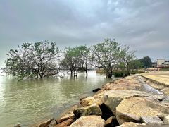 -宝安西湾红树林湿地公园