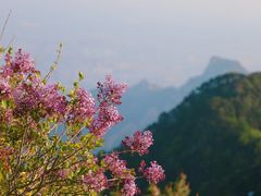 -泰山风景名胜区