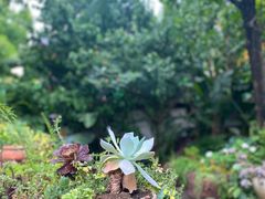 -悦哉·派对·草坪婚礼·围炉煮茶(三圣乡店)