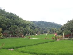 -常德桃花源景区