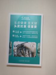 -雍禾植发