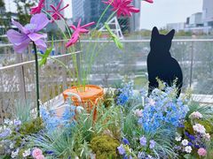 -深圳湾万象城(南山店)