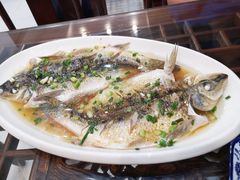 -呼吸森林·生态农庄农家乐私房菜