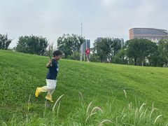 -光明小镇欢乐田园