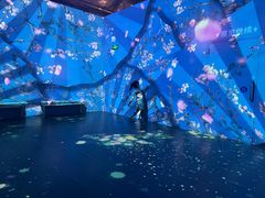 -天津梵高星空艺术馆(天河城旗舰店)