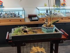 -阜昌典当行(阜成门店)