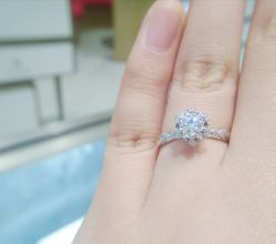 -钻石小鸟钻戒婚戒定制(石路店)