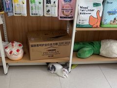-瑞鹏宠物医院·夜间急症·心超·猫科(祖庙分店)