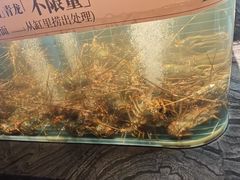 -雍容荟帝王蟹活龙虾展台自助(IFS黑金店)