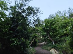 -紫金山山顶公园
