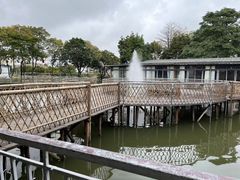 -陶缘一号·四季缘·老字号顺德菜·户外婚礼家宴(西滘店)