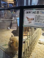 点击看大图 -酷嗒动物文化乐园(cutezoo西溪乐天城店)