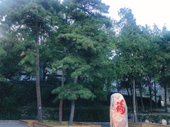 -北京鹫峰国家森林公园
