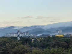 -野象谷景区