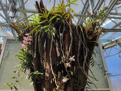 -国家植物园南园