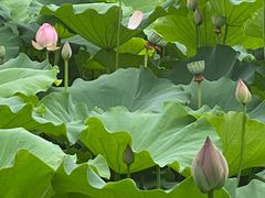 -莫催咖啡