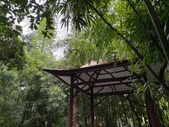 -广州兰圃