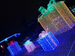 -飞凤山奥体公园