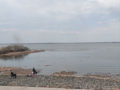 -白渔泡湿地公园