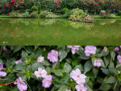 -深圳市中科院仙湖植物园