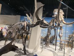 -国家自然博物馆