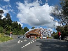 -怀托摩萤火虫洞