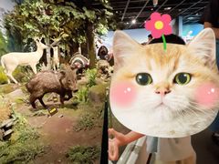 -陕西自然博物馆