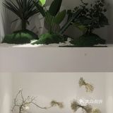 打卡W·星期三法式甜品