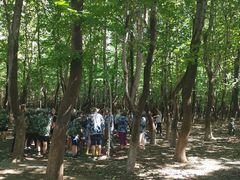 -亲兄弟真人CS团建拓展基地