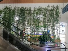 -首都医科大学附属北京潞河医院