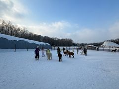 -长白山万达锦华套房酒店