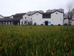 -杭州师范大学(下沙校区)