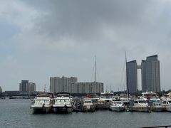 -日照世帆赛基地