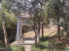-九华山公园