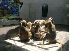 -西安秦岭野生动物园