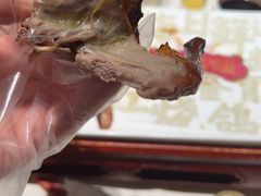 红烧鸽-大鸽饭(岗顶店)