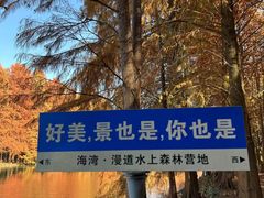 -上海海湾国家森林公园