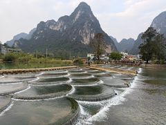 -明仕田园