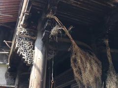 -龙坞茶村