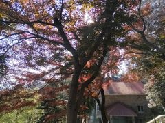 -莫干山风景区
