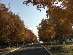 -长春世界雕塑园冰雪艺术天地