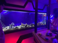 -MOJO密室逃脱(中街旗舰店)