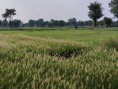 -汉长安城未央宫国家考古遗址公园