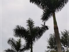 -广州市白云山风景名胜区