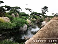 -罗红摄影艺术馆