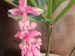 -喜湘宴·精致湖南菜(和平西桥店)