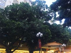 -广州市第一人民医院(院本部)