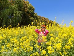 -浦星公路-路侧停车位