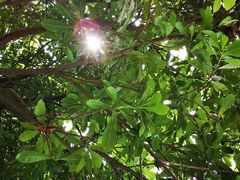 -艾溪湖湿地公园